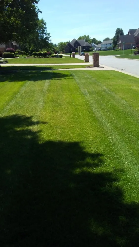 Top-rated garden landscaping for homes in Edinburg, PA by Burton Lawn Care