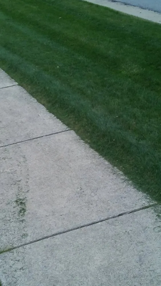 Trusted landscaping services for outdoor upgrades in Edinburg, PA by Burton Lawn Care