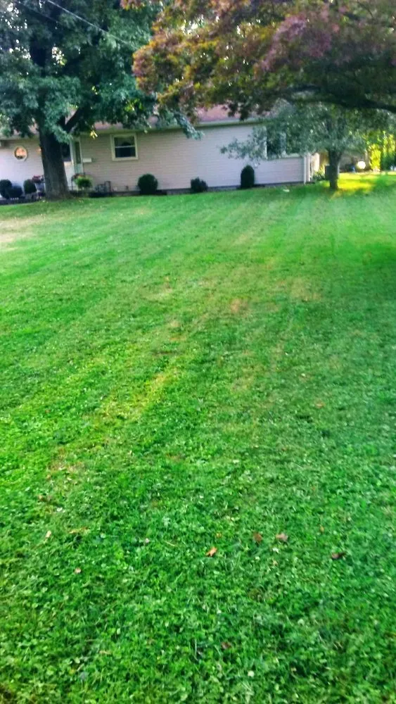 Custom lawn mowing service in Edinburg, PA - Burton Lawn Care