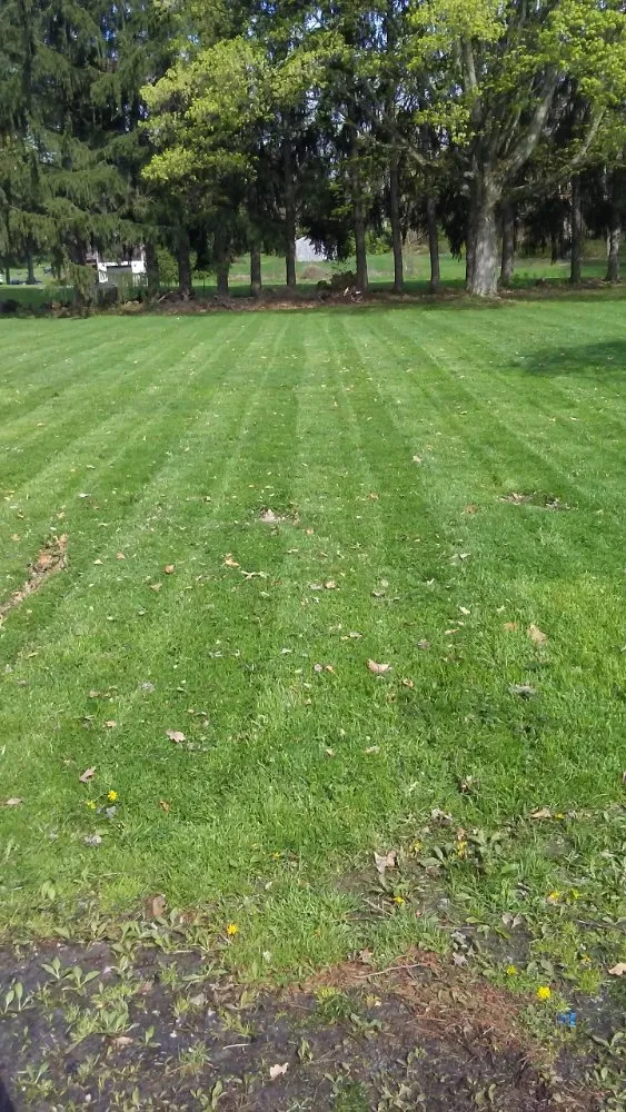 Reliable lawn care service with custom design across Edinburg, PA - Burton Lawn Care