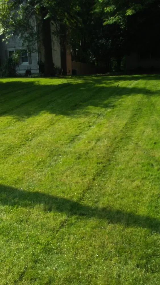 Custom outdoor landscaping for beautiful yards across Edinburg, PA - Burton Lawn Care