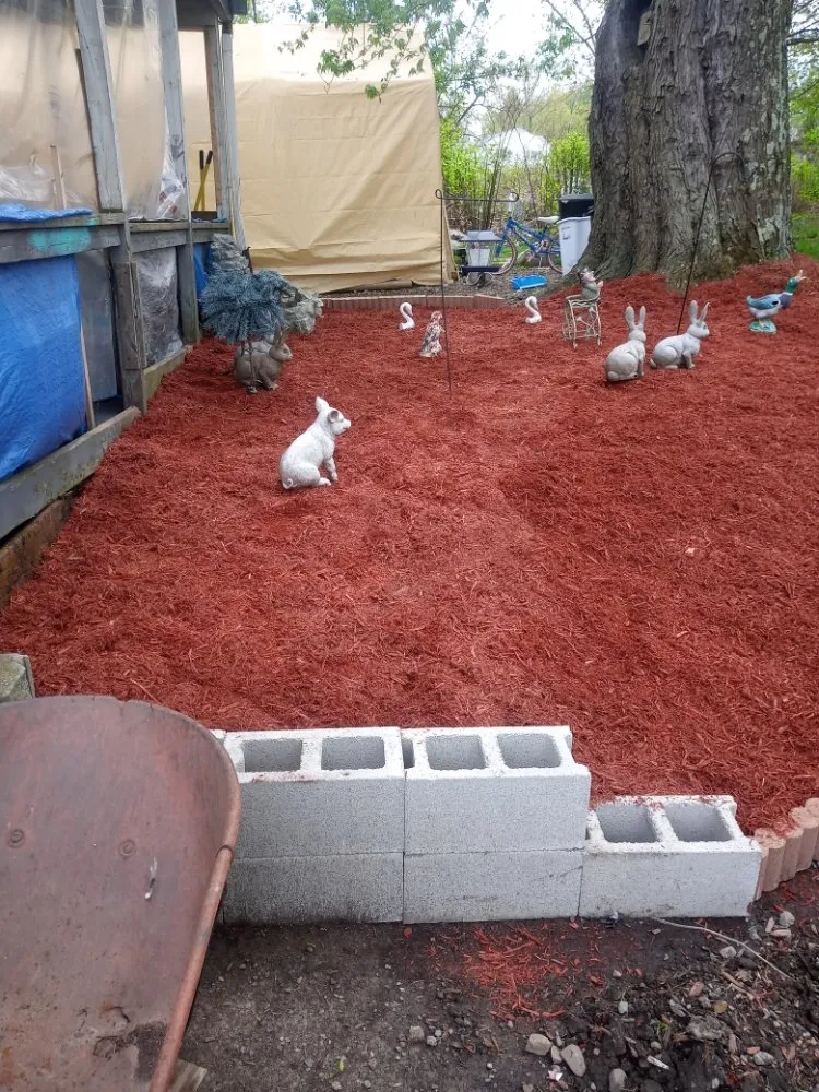 Top-rated landscaping services with custom design in Edinburg, PA by Burton Lawn Care