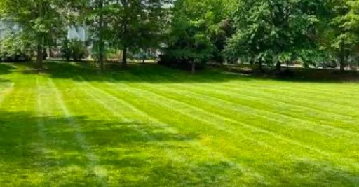 Top-rated landscaping services experts serving Durham, NC - Burtons Landscaping