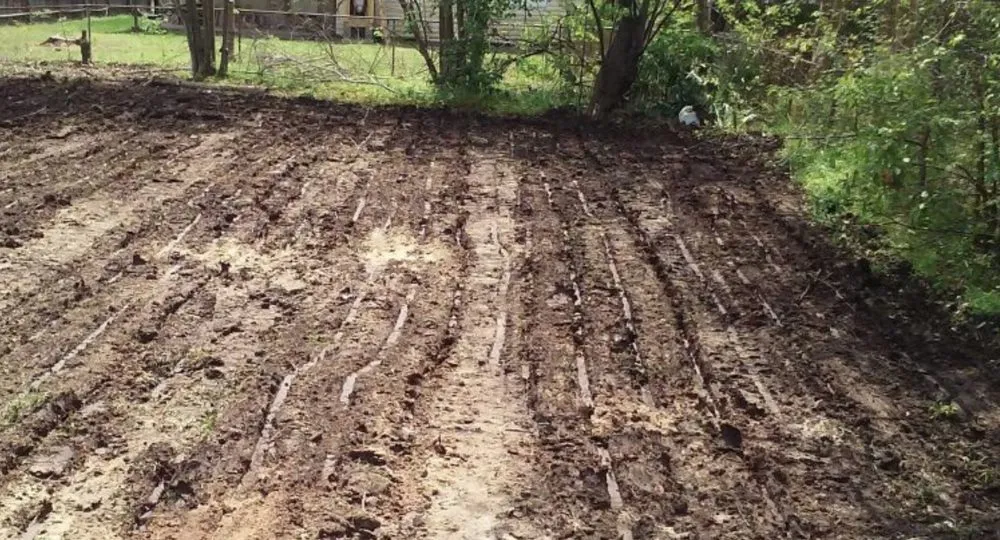 Custom yard cleanup service with custom design in Houston, TX by Burton's Trash Service