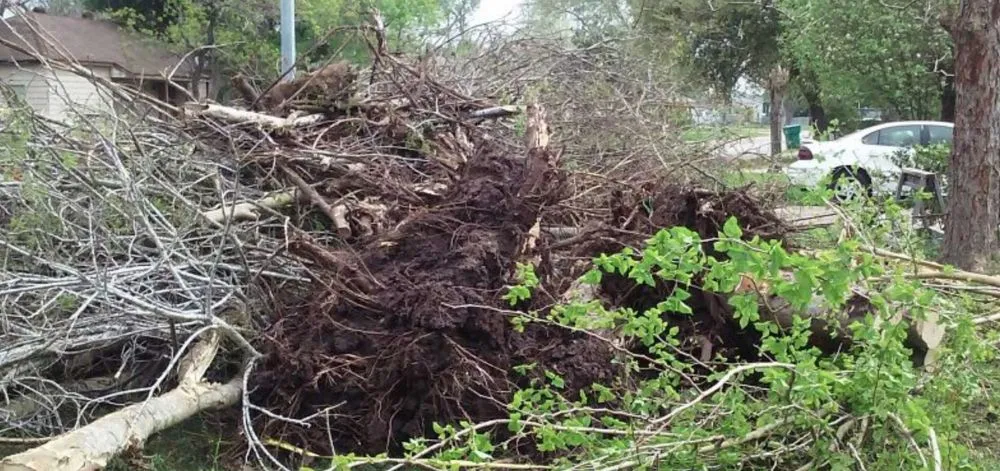 Trusted lawn mowing service experts serving Houston, TX - Burton's Trash Service