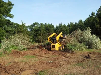 Custom yard cleanup service experts serving Houston, TX - Burton's Trash Service