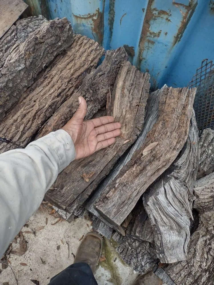 Top-rated landscape design for year-round maintenance across Houston, TX - Burton's Trash Service