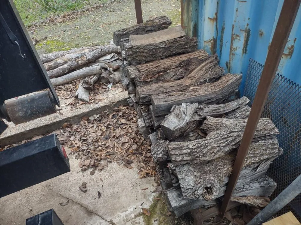 Trusted landscape design in Houston, TX - Burton's Trash Service