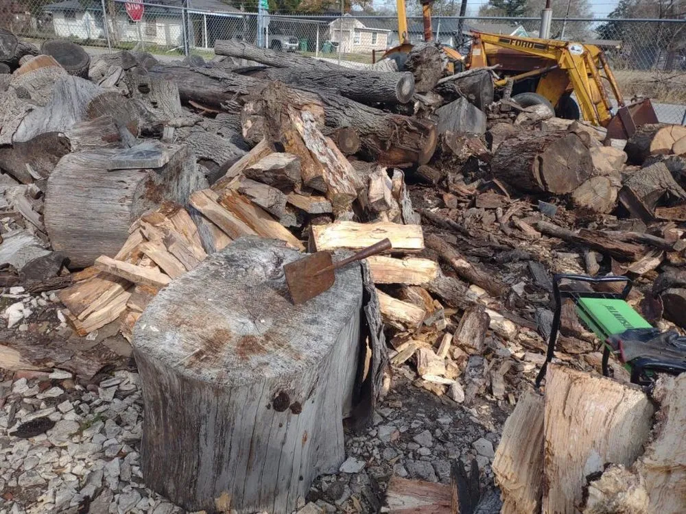 Local lawn care service near you in Houston, TX by Burton's Trash Service