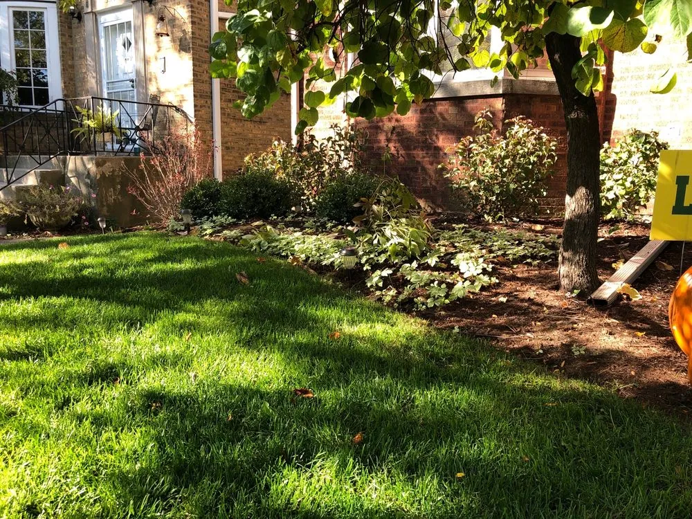 Reliable residential landscaping for homes across Evanston, IL - Busch Landscape inc