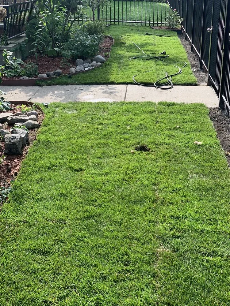 Top-rated lawn mowing service for year-round maintenance in Evanston, IL by Busch Landscape inc