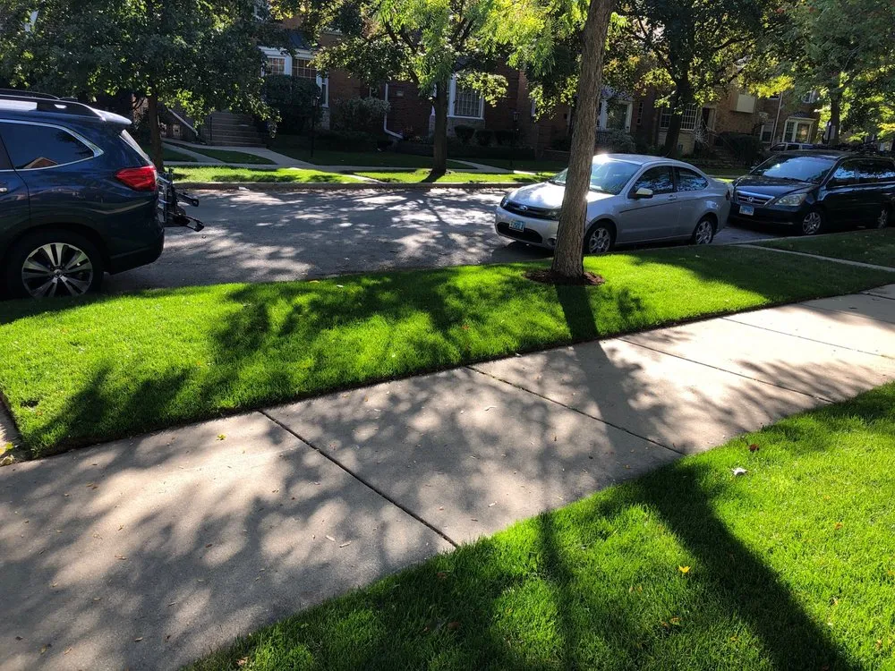 Reliable landscape installation for year-round maintenance in Evanston, IL by Busch Landscape inc