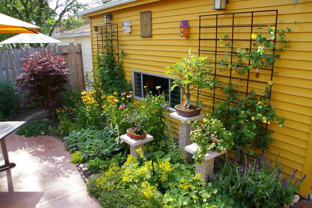 Top-rated yard cleanup service in Evanston, IL - Busch Landscape inc