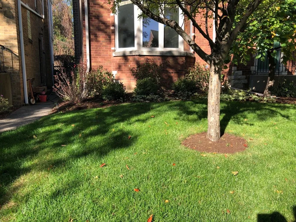 Custom lawn care service in Evanston, IL by Busch Landscape inc