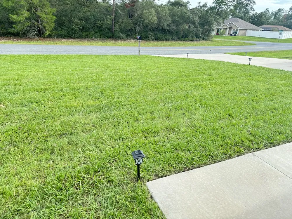 Local lawn care service experts serving Ocala, FL - Busch Lawn Care