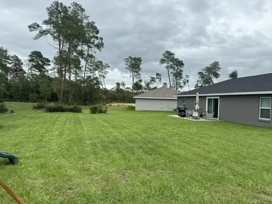 Busch Lawn Care Logo