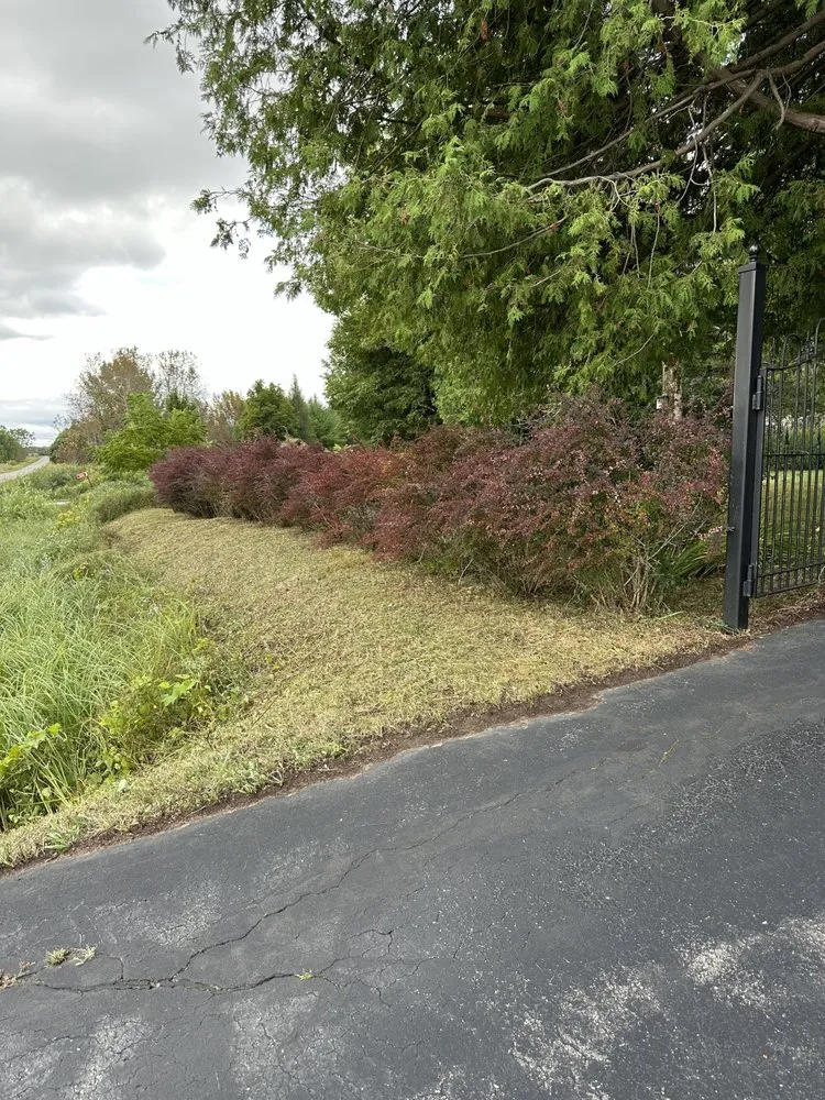 Reliable yard maintenance in Menominee, MI - Buscher Lawn and Landscape