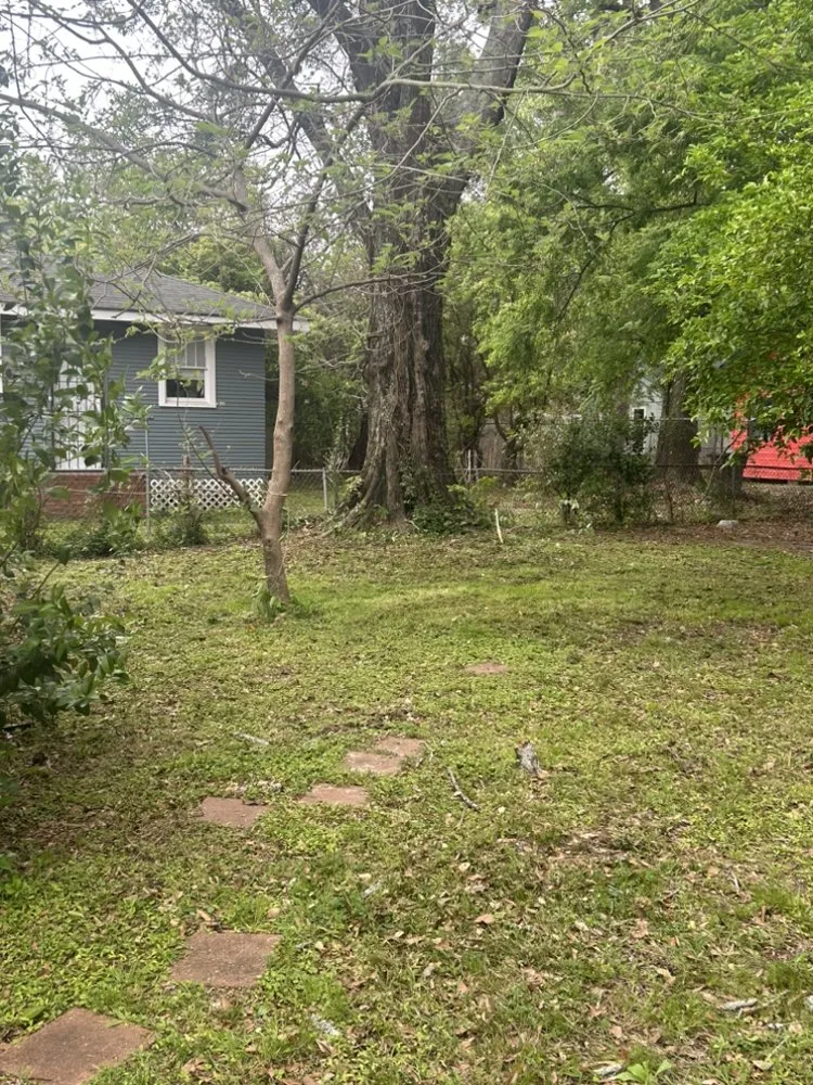 Trusted landscaping services in Baton Rouge, LA by Busdown Yard Service