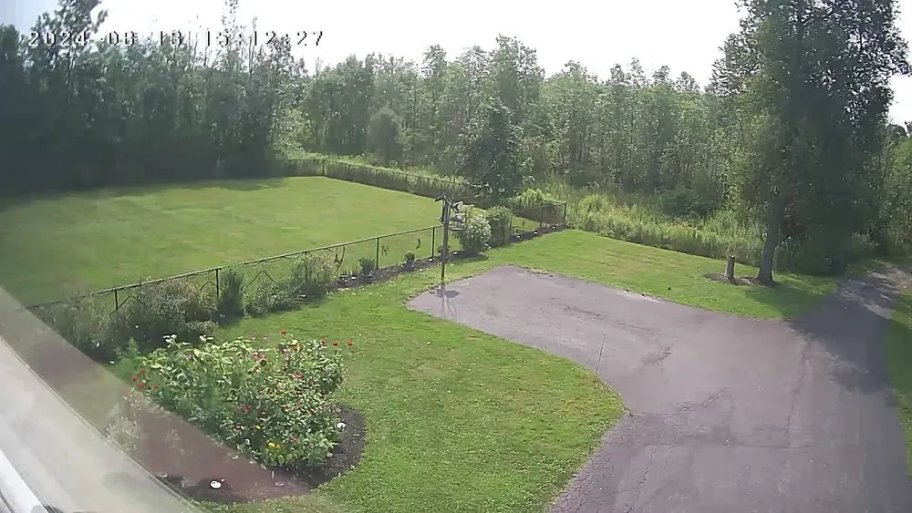 Top-rated landscape design for outdoor upgrades across Macedon, NY - Buse Property Maintenance