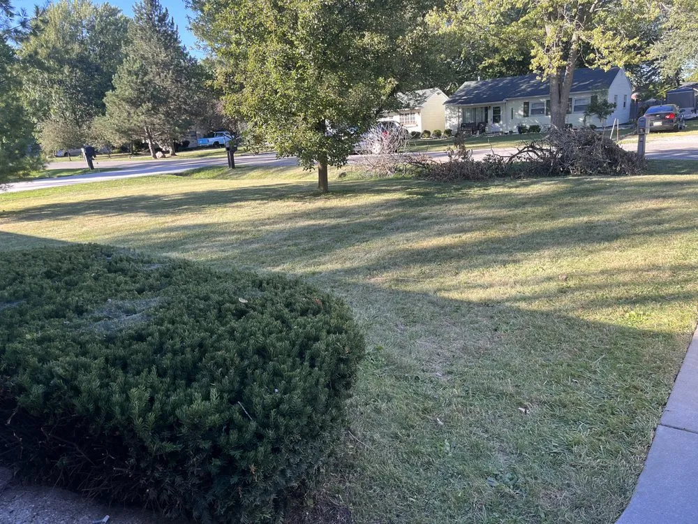 Top-rated landscape installation for year-round maintenance across Roseville, MI - Bush Boys