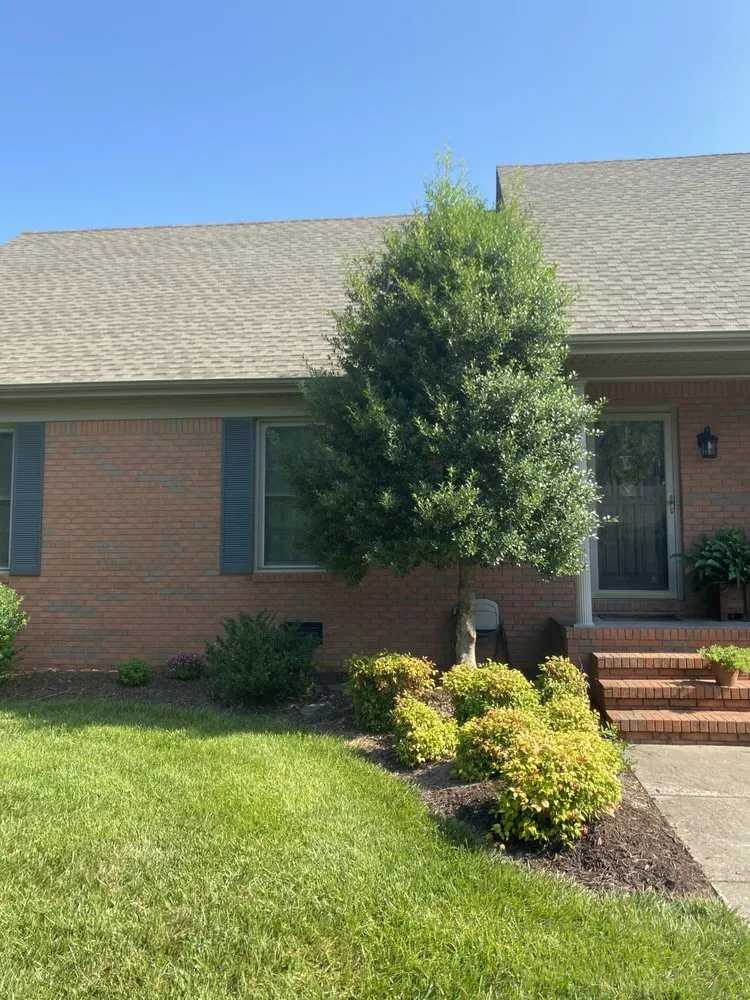 Affordable lawn mowing service experts serving Murray, KY - Bush Buddies