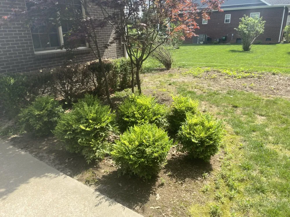 Top-rated outdoor landscaping with custom design in Murray, KY by Bush Buddies