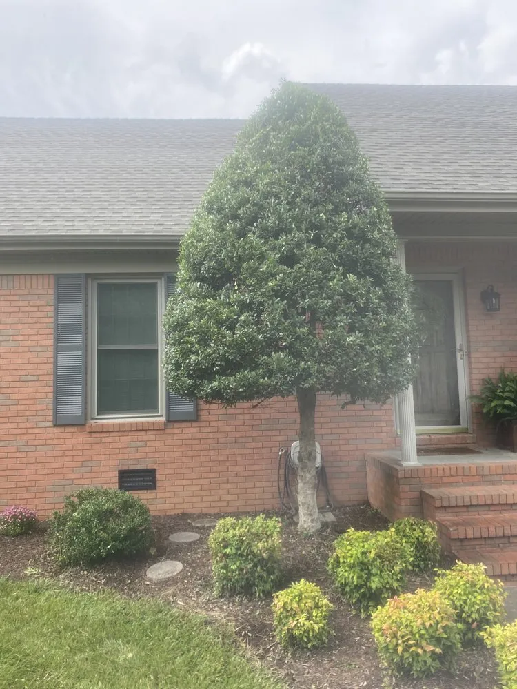 Top-rated lawn mowing service for outdoor upgrades in Murray, KY by Bush Buddies