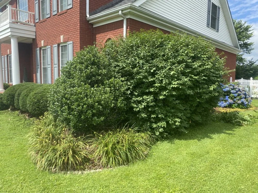 Top-rated yard maintenance in Murray, KY by Bush Buddies