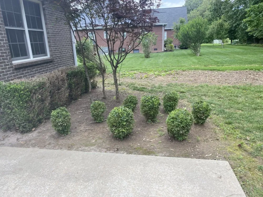 Custom yard cleanup service with custom design in Murray, KY by Bush Buddies