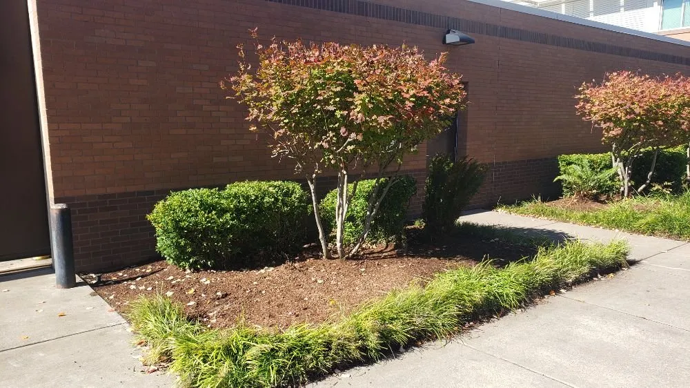 Affordable outdoor landscaping with custom design in Eugene, OR by Bush Doctor Lawn and Garden