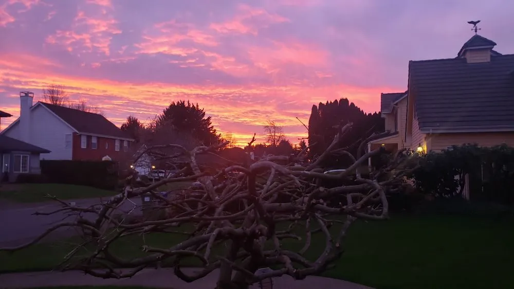 Reliable lawn mowing service experts serving Eugene, OR - Bush Doctor Lawn and Garden