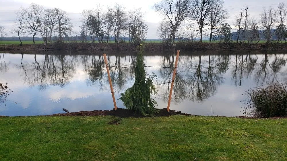 Local lawn mowing service with custom design in Eugene, OR by Bush Doctor Lawn and Garden