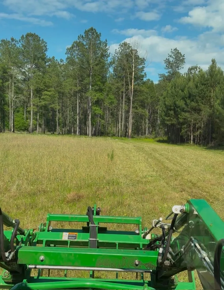 Reliable landscape design for beautiful yards in Hartford, AL by Bush Hog Service