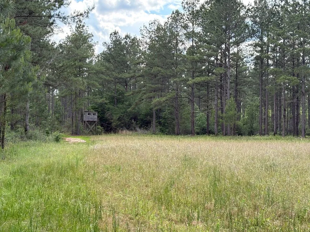 Custom lawn care service for residential properties in Hartford, AL by Bush Hog Service