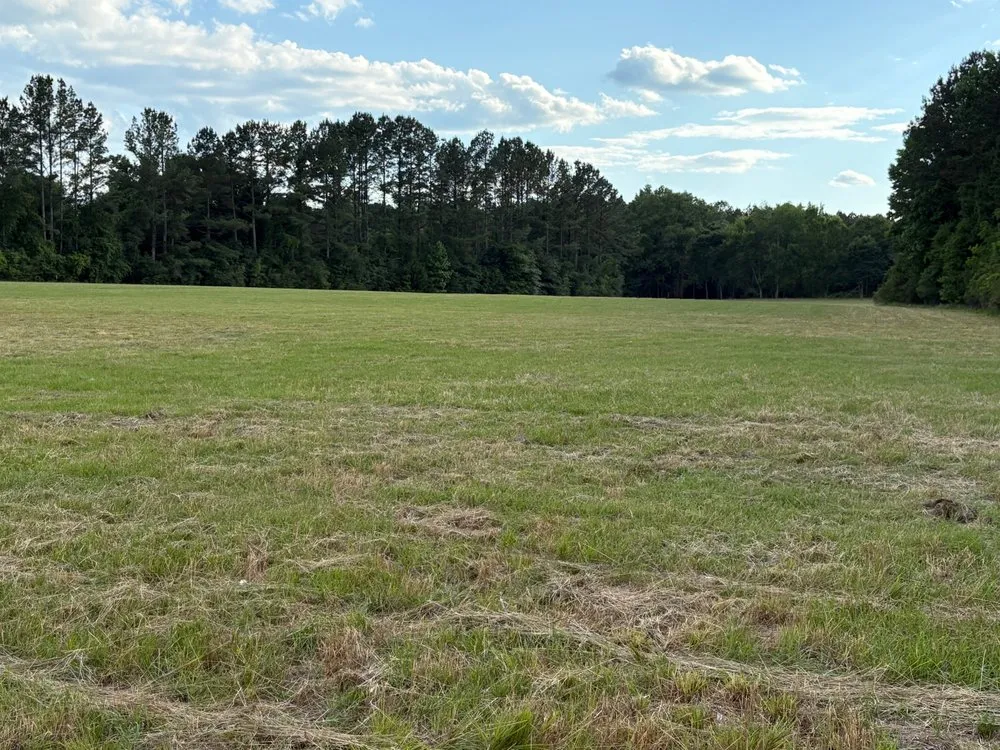 Custom garden landscaping experts serving Hartford, AL - Bush Hog Service