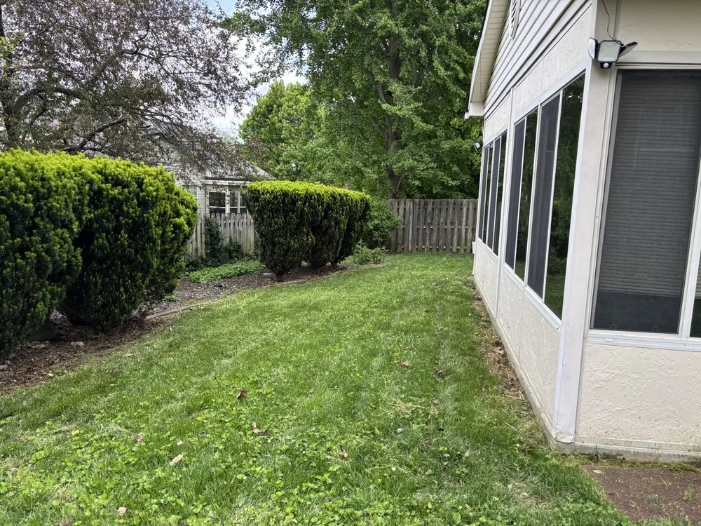 Expert outdoor landscaping in Georgetown, KY - Bush Landscaping & Design