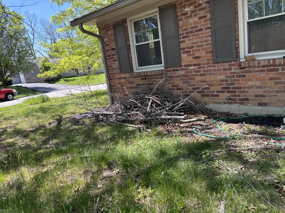 Expert garden landscaping for homes across Georgetown, KY - Bush Landscaping & Design