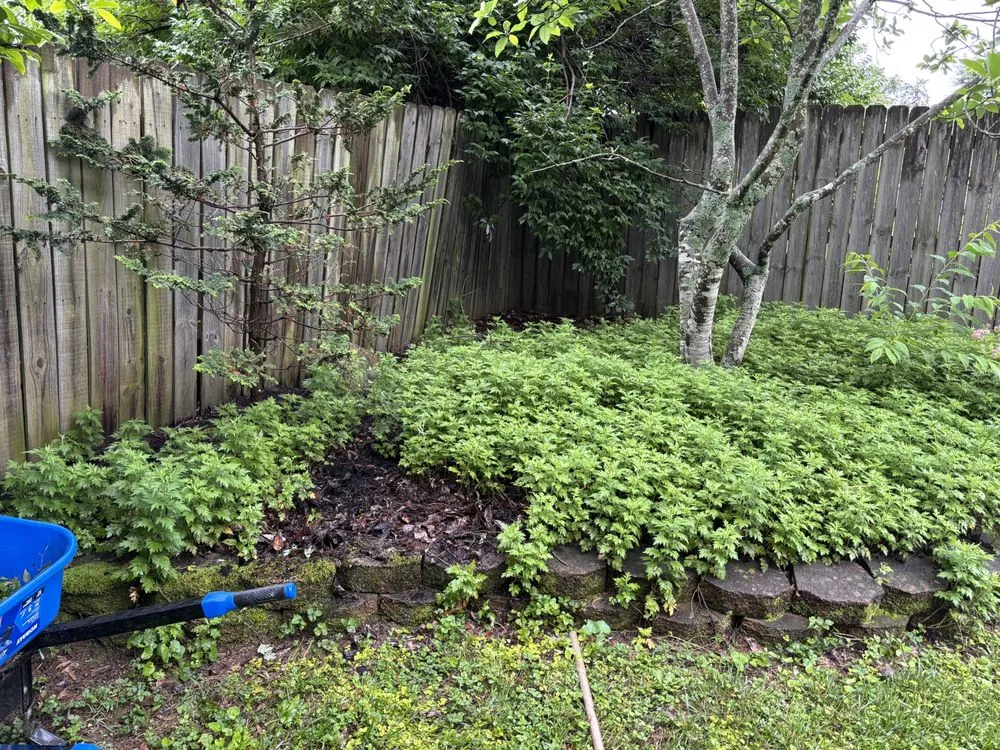 Top-rated outdoor landscaping experts serving Georgetown, KY - Bush Landscaping & Design