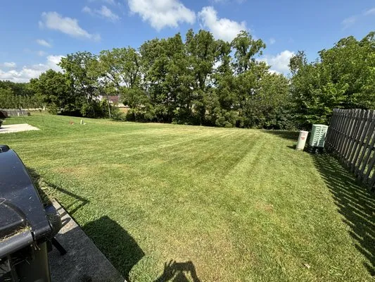 Bush Landscaping & Design Logo