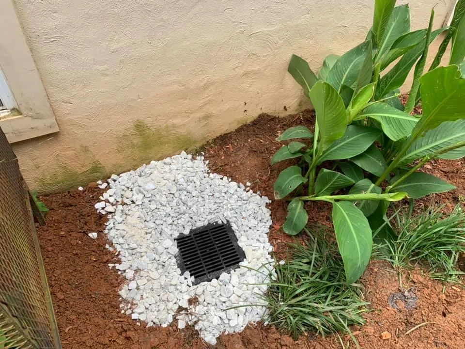 Expert landscape design in Newnan, GA - Bush Landscaping