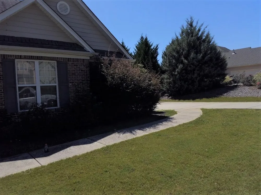 Custom yard cleanup service in Newnan, GA by Bush Landscaping