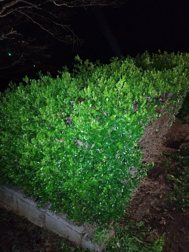 Affordable lawn mowing service experts serving Laurens, SC - Bush Master Landscaping & Handyman Services