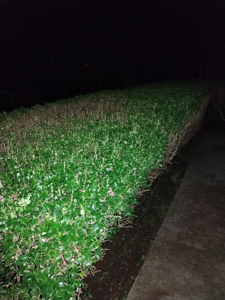 Local lawn mowing service in Laurens, SC - Bush Master Landscaping & Handyman Services