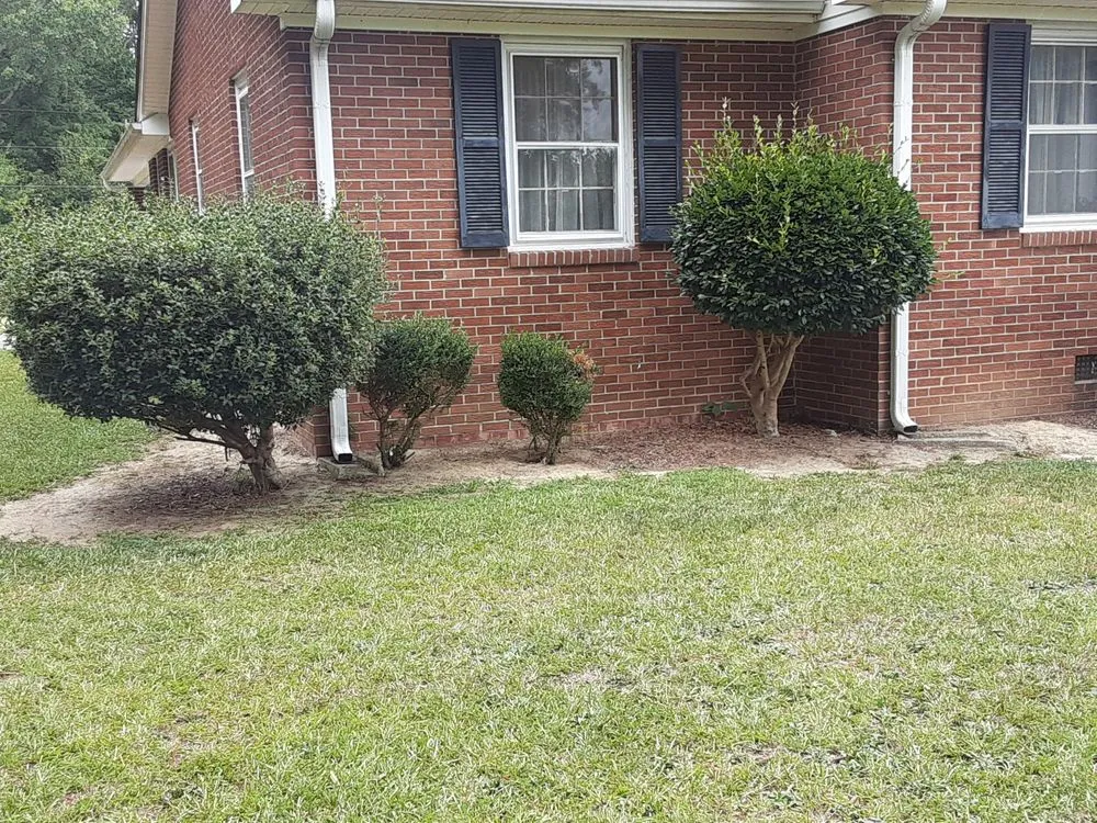 Top-rated outdoor landscaping with custom design in Laurens, SC by Bush Master Landscaping & Handyman Services