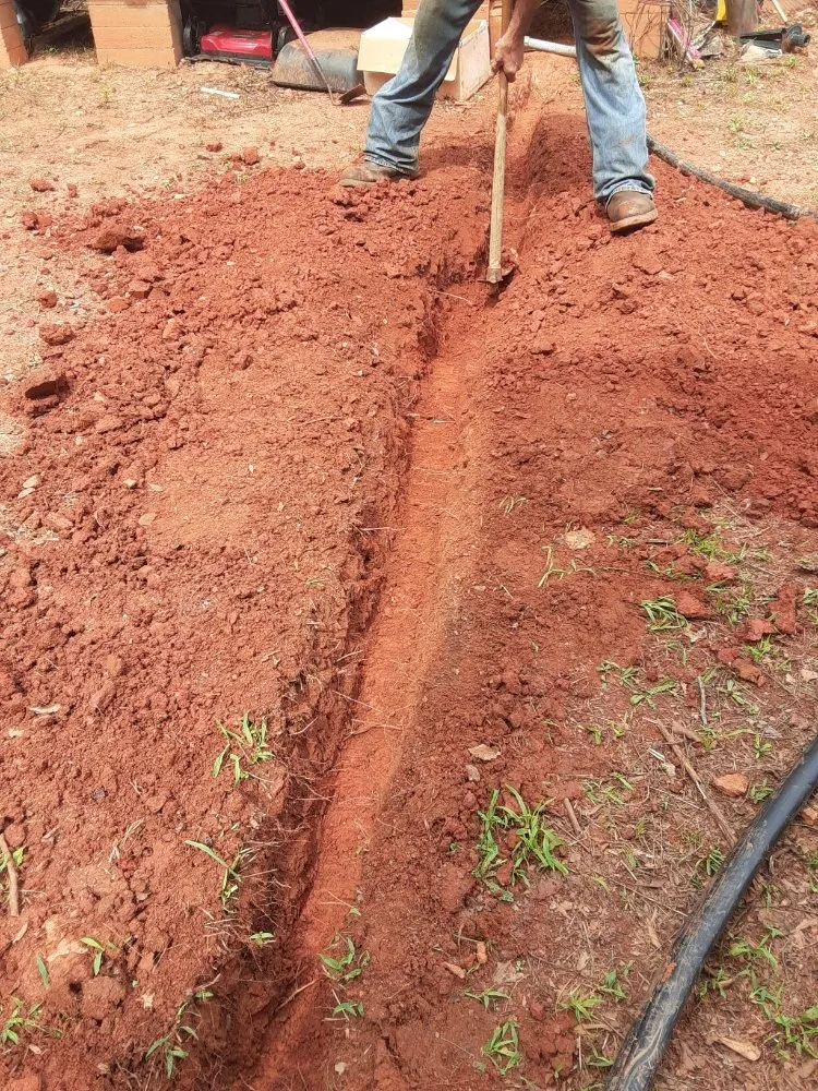 Top-rated yard cleanup service for homes in Laurens, SC by Bush Master Landscaping & Handyman Services, LP