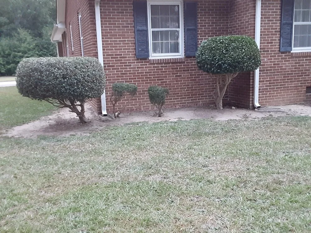 Expert outdoor landscaping in Laurens, SC - Bush Master Landscaping & Handyman Services, LP