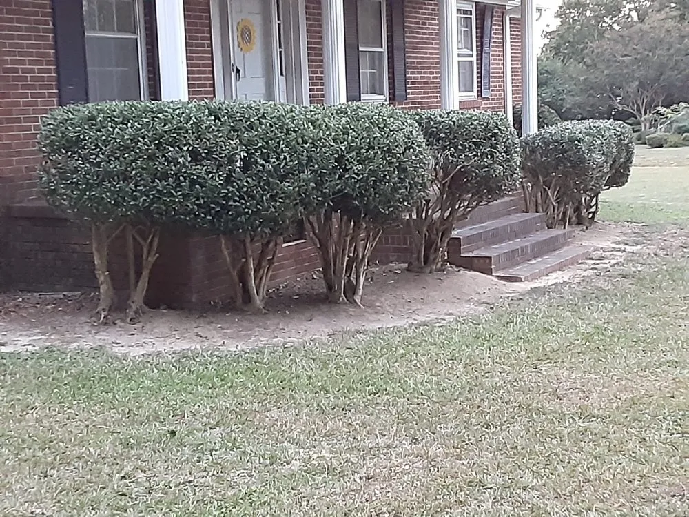 Expert landscaping services in Laurens, SC by Bush Master Landscaping & Handyman Services, LP