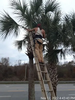 Bush Master Landscaping & Handyman Services, LP