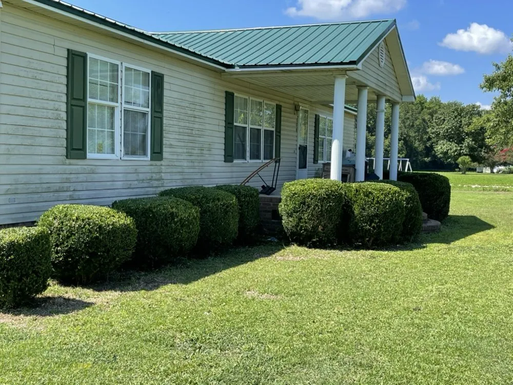 Expert yard cleanup service in Lumberton, NC - Bush Masters Lawncare And Service