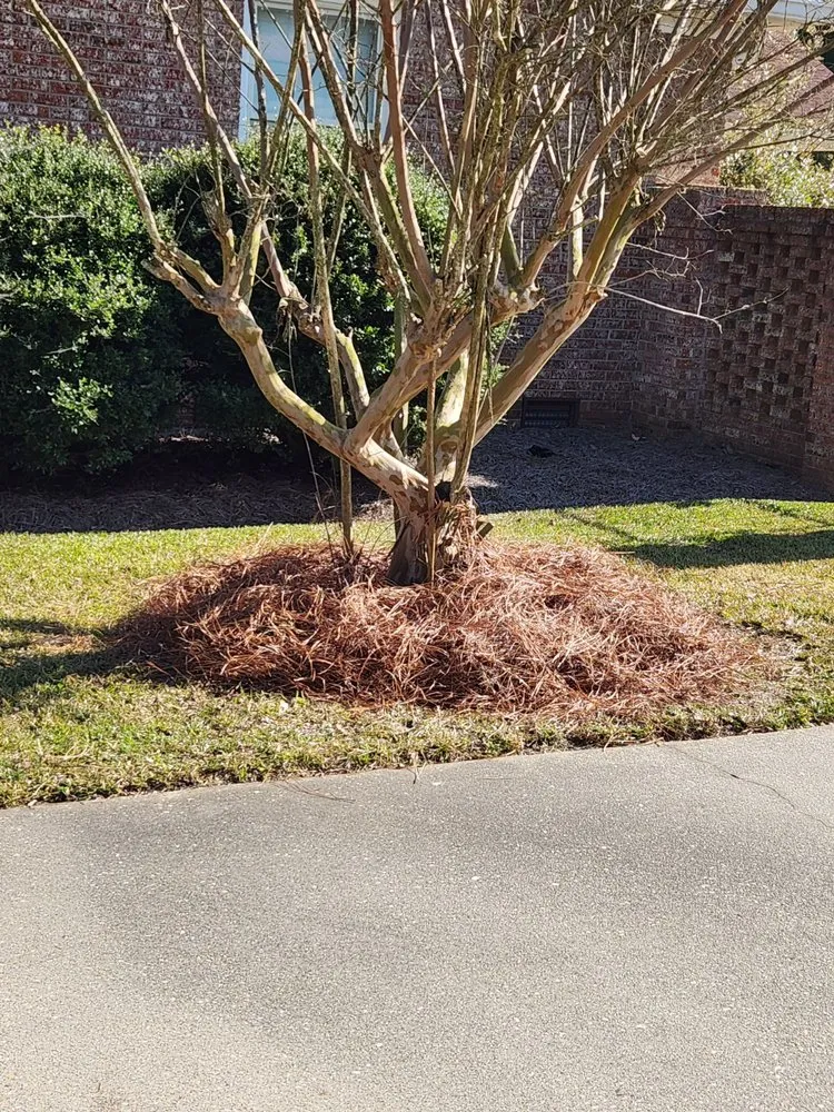 Custom outdoor landscaping for beautiful yards in Lumberton, NC by Bush Masters Lawncare And Service